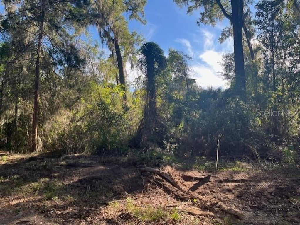 TBD NW 160TH STREET, Reddick, FL 32686