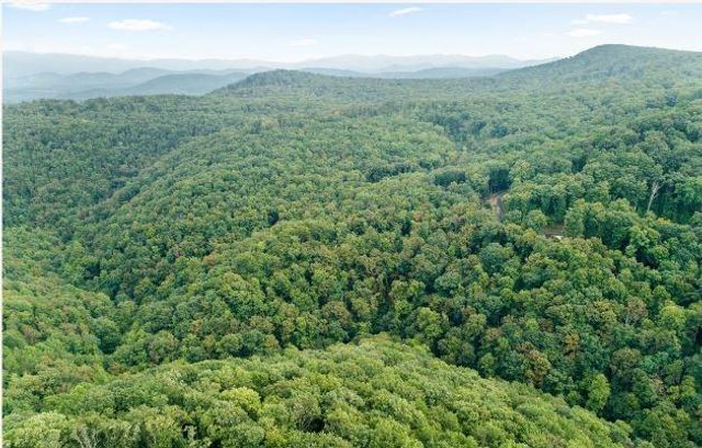 232 Andes Ridge, Ellijay, GA 30540