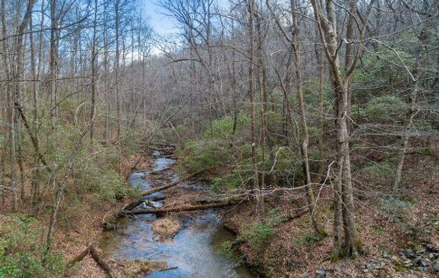 232 Andes Ridge, Ellijay, GA 30540