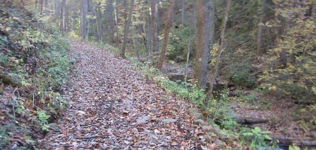 232 Andes Ridge, Ellijay, GA 30540