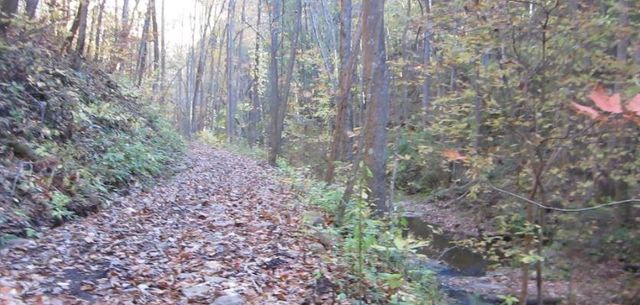 232 Andes Ridge, Ellijay, GA 30540