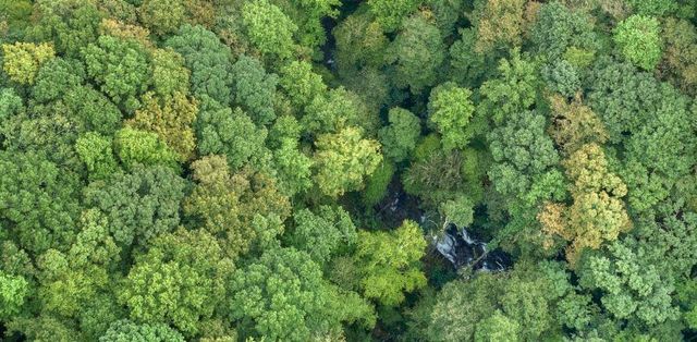 232 Andes Ridge, Ellijay, GA 30540