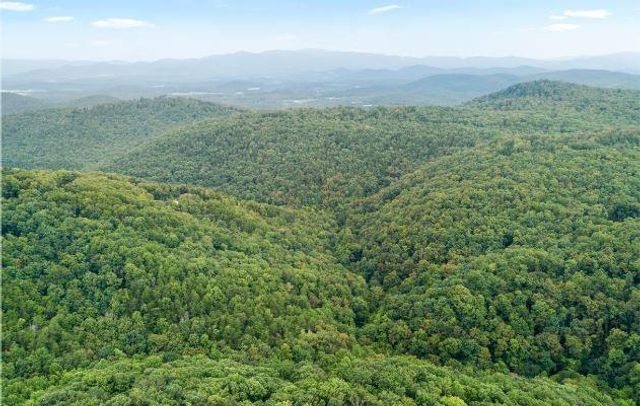 232 Andes Ridge, Ellijay, GA 30540