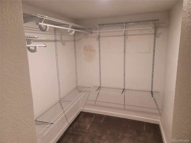 2834 Curtis Street 3, Denver, CO 80205