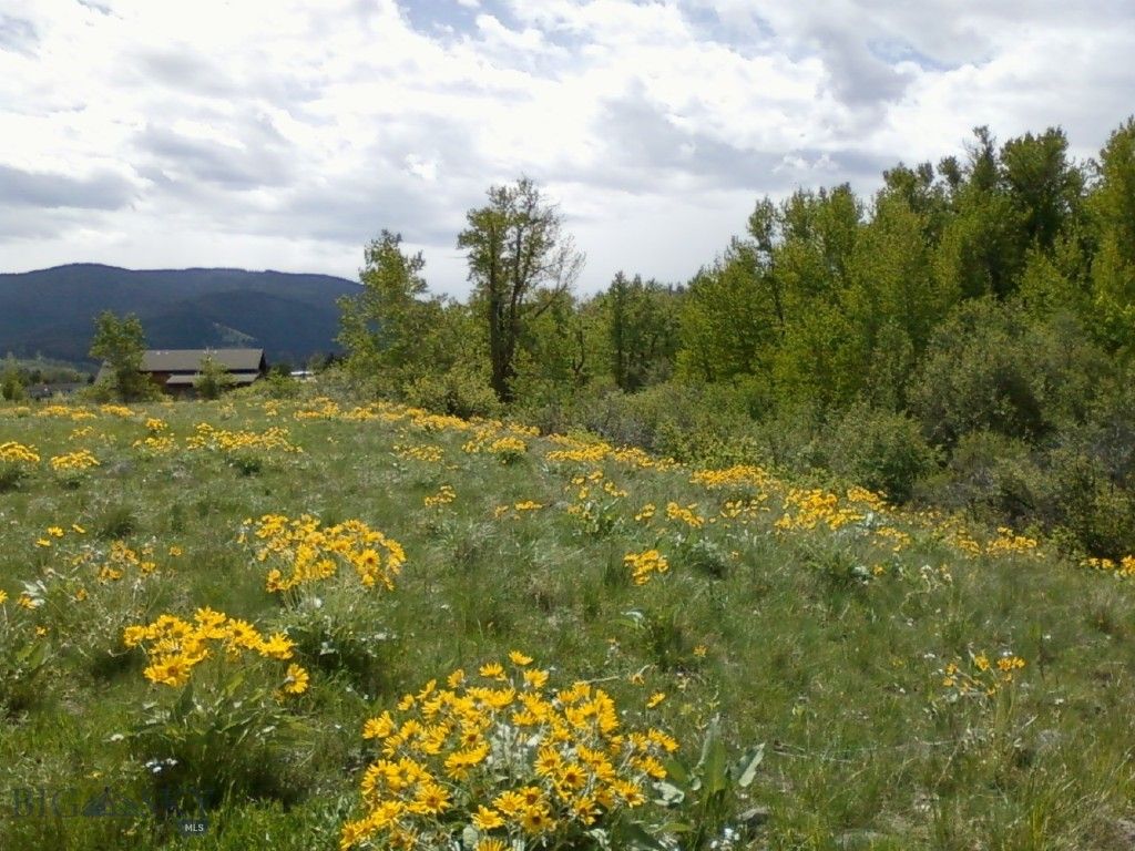 779 Cayuse Trail, Bozeman, MT 59715