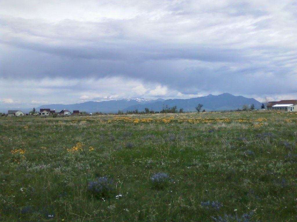 779 Cayuse Trail, Bozeman, MT 59715 photo 3