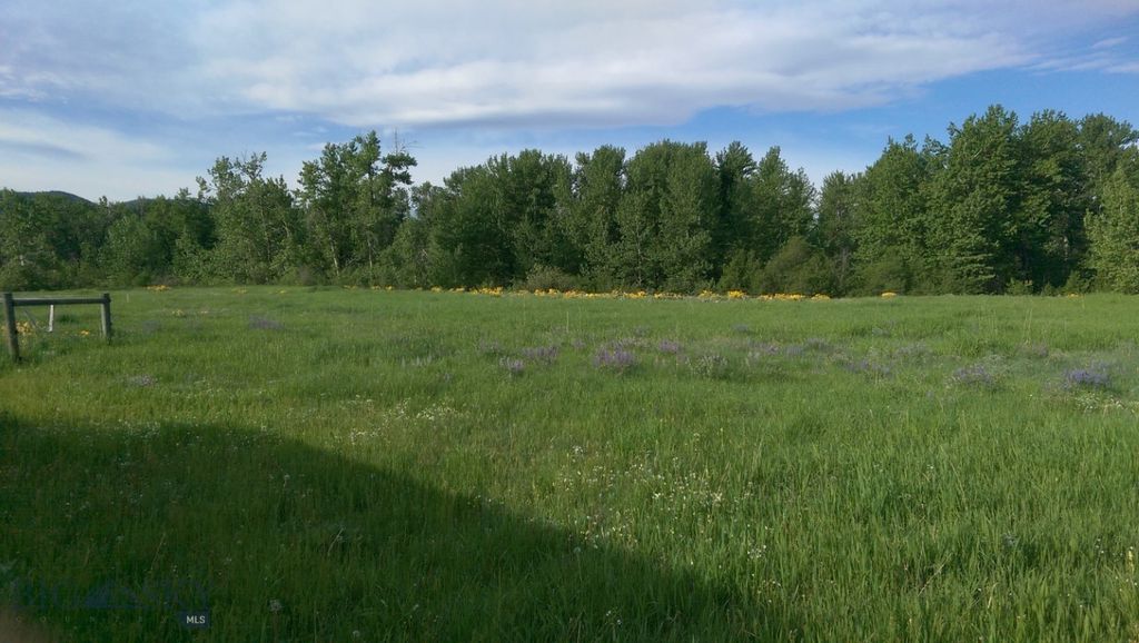 779 Cayuse Trail, Bozeman, MT 59715 photo 5