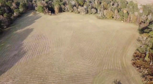 NA Kickapoo Road, Groveton, TX 75845