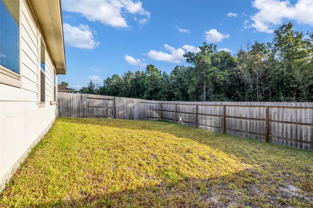 24039 Priano Forest Drive, New Caney, TX 77357