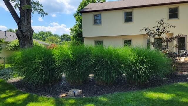 12200 Raintree Avenue, Pickerington, OH 43147