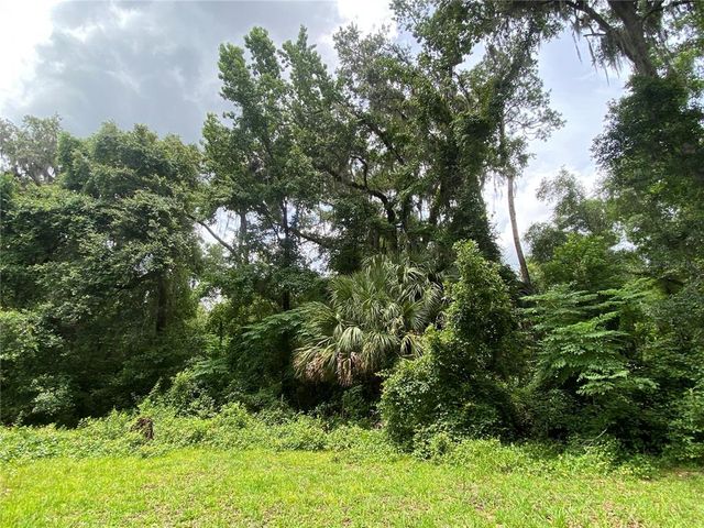 17154 NE 36TH AVENUE, Citra, FL 32113