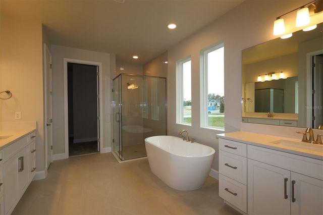 3802 WOLVES CREEK PLACE, Apopka, FL 32712