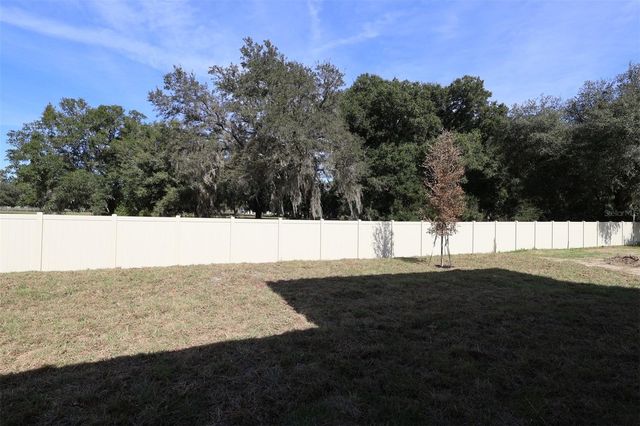 3802 WOLVES CREEK PLACE, Apopka, FL 32712