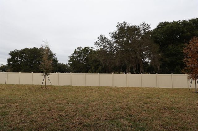 3802 WOLVES CREEK PLACE, Apopka, FL 32712