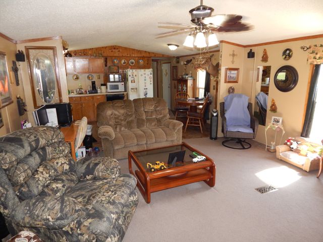 6223 Beech Creek Rd, Clifton, TN 38425