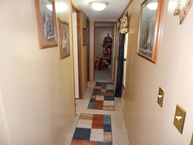 6223 Beech Creek Rd, Clifton, TN 38425