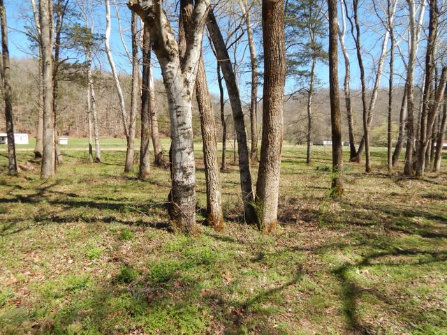 6223 Beech Creek Rd, Clifton, TN 38425