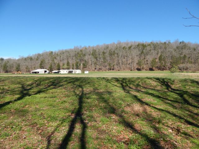 6223 Beech Creek Rd, Clifton, TN 38425