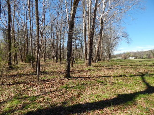 6223 Beech Creek Rd, Clifton, TN 38425