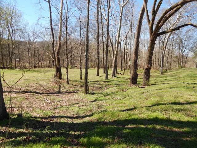 6223 Beech Creek Rd, Clifton, TN 38425
