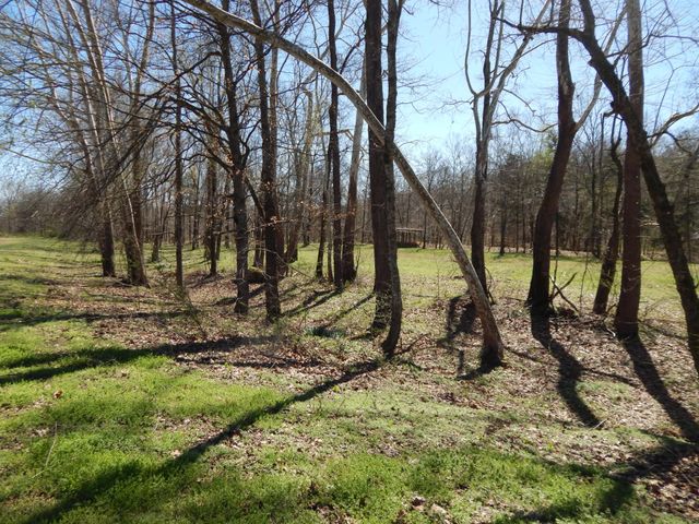 6223 Beech Creek Rd, Clifton, TN 38425