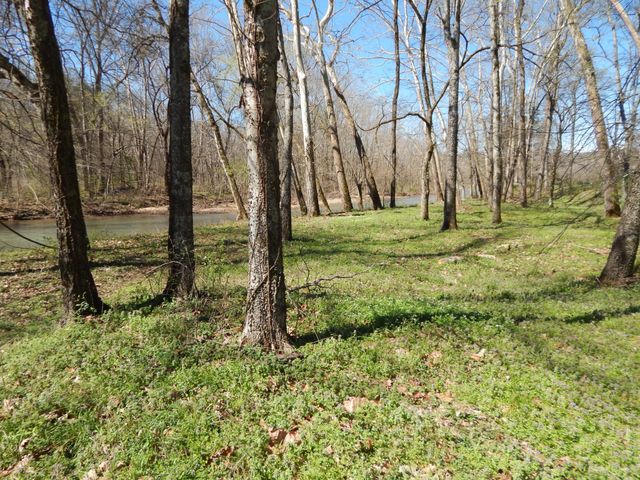 6223 Beech Creek Rd, Clifton, TN 38425