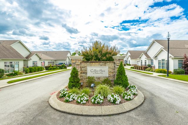 9551 Collier Place, Ooltewah, TN 37363