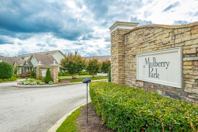 9551 Collier Place, Ooltewah, TN 37363