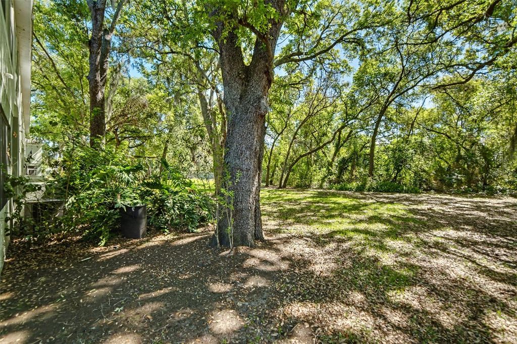 Image 20 of property listing at 2431 EARLSWOOD COURT, Brandon, FL 33510