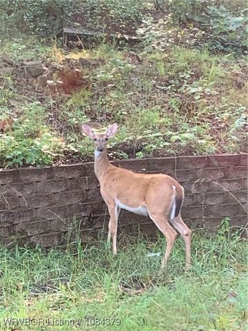 2011 Charmont Drive, Charleston, AR 72933