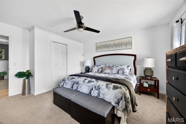 301 Rachels Trail, St Peters, MO 63376