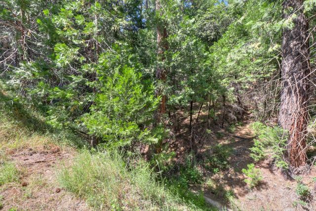 4909 Clear Creek Rd, Placerville, CA 95667