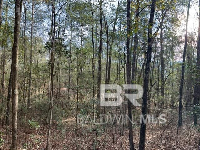 21&22 Flat Creek Drive, Bay Minette, AL 36507