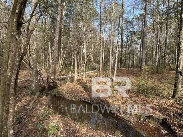 21&22 Flat Creek Drive, Bay Minette, AL 36507