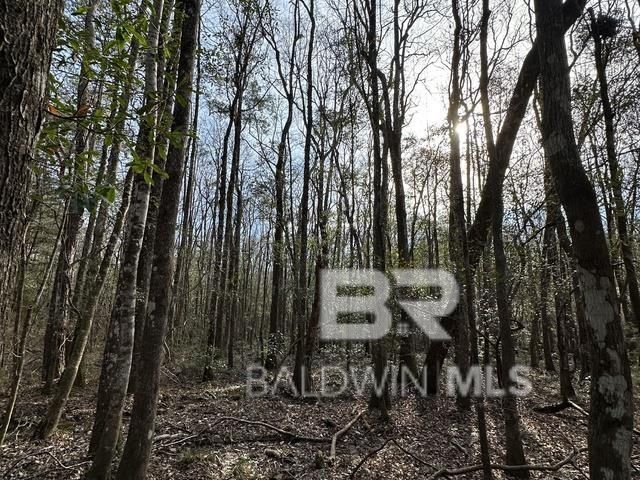 21&22 Flat Creek Drive, Bay Minette, AL 36507