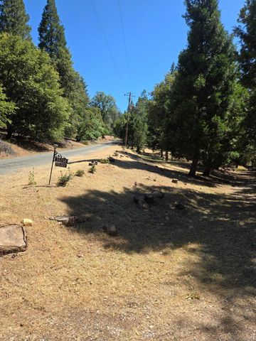25750 Aspen Ct, Volcano, CA 95689