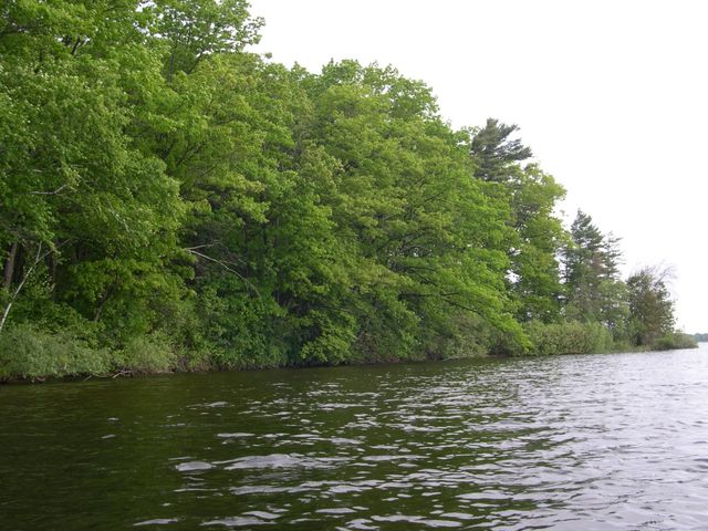 1565 Edgewater Ridge, Traverse City, MI 49684