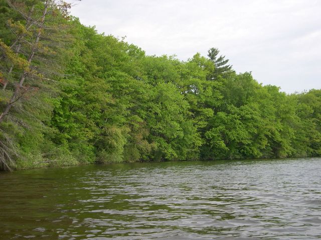 1565 Edgewater Ridge, Traverse City, MI 49684