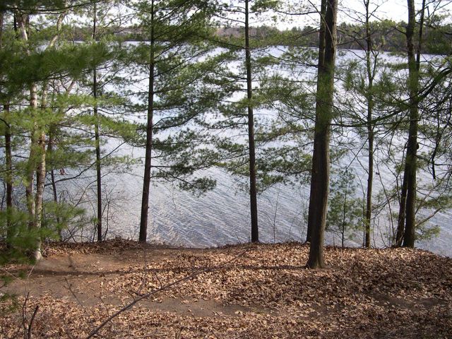 1565 Edgewater Ridge, Traverse City, MI 49684