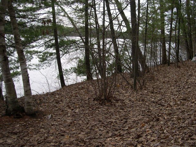 1565 Edgewater Ridge, Traverse City, MI 49684