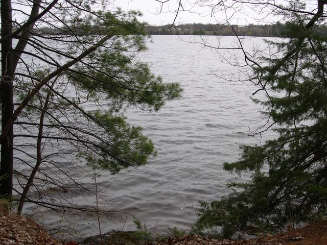 1565 Edgewater Ridge, Traverse City, MI 49684