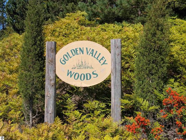 11167 S Golden Valley Drive, Empire, MI 49630