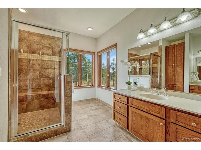19435 Sherwood Trl, Monument, CO 80132