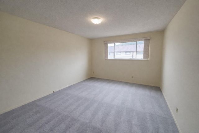 2336 Shadowdale Drive, Houston, TX 77043