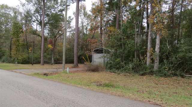 294 & 306 Impala Drive, Onalaska, TX 77360