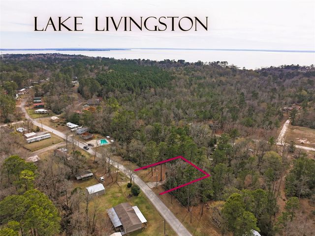 294 & 306 Impala Drive, Onalaska, TX 77360