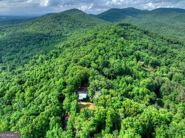 782 Scenic Mountain View Road, Blue Ridge, GA 30513