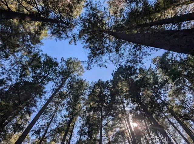 16135 Bottle Rock rd., Cobb, CA 95426