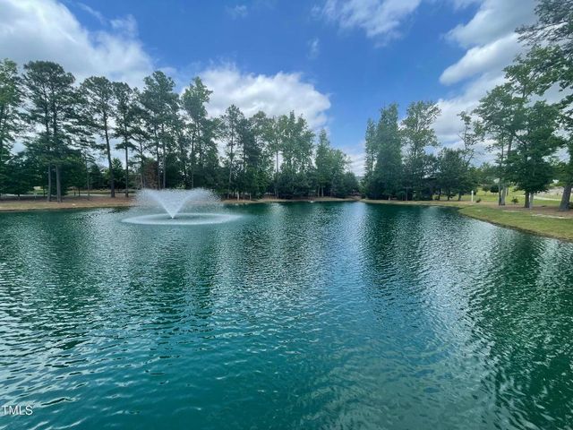 1906 Plott Balsam Drive, Wendell, NC 27591