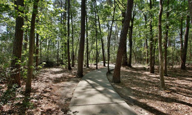 3872 Oakmist Bend Lane, Spring, TX 77386